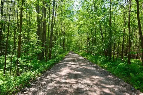 199 3 Concession Road West Tiny ON L0L 2T0