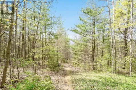4 Mills Circle Springwater ON L9X 0J7