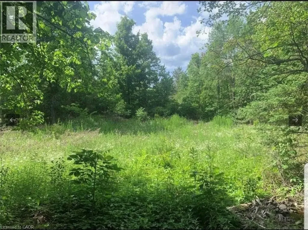 12 Suter Drive Kawartha Lakes ON K0M 1B0