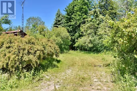 20 Marilyn Avenue North Wasaga Beach ON L9Z 2X8