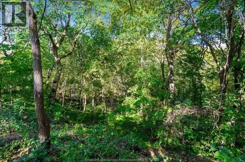 1126 Campbell Lane Kingsville ON N9Y 2G4