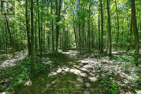 4074 St. John's Sideroad Whitchurch-stouffville ON L4A 2T7