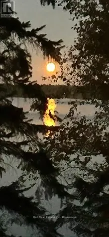 43 Fire Route 52a North Kawartha ON K0L 1A0