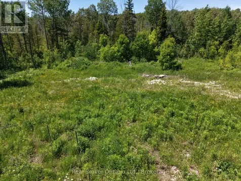 118 Tamarac Road Northern Bruce Peninsula ON N0H 1W0