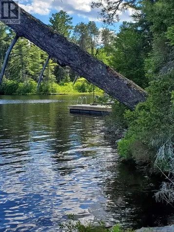 928 Island Temagami ON P0H 2H0