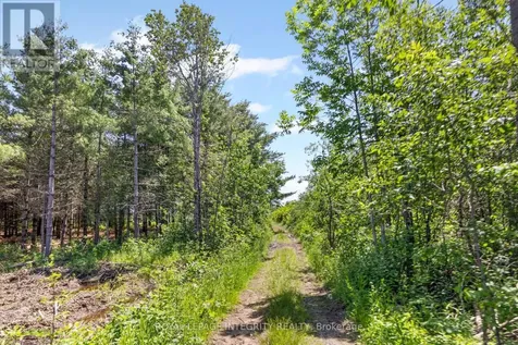 4228 O'neil Road Ottawa ON K0A 1B0