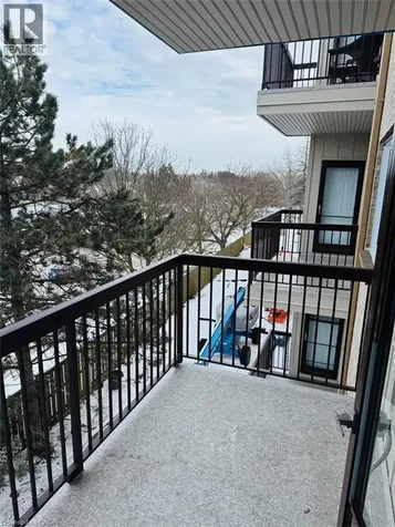 15 Hofstetter Avenue Kitchener ON N2A 3Z7