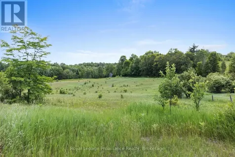 725 Peplinski Homestead Road Madawaska Valley ON K0J 1B0