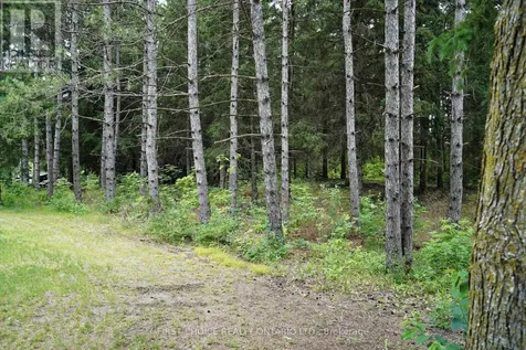 1890 Concession Rd 7 Corners Adjala-tosorontio ON L0G 1W0