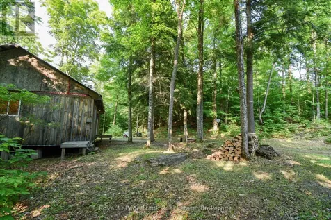 1804 Clydesdale Road North Kawartha ON K0L 1A0