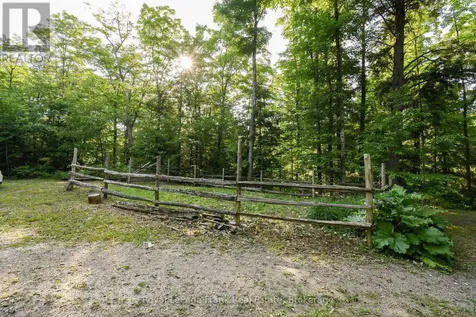 1804 Clydesdale Road North Kawartha ON K0L 1A0