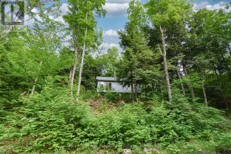 1804 Clydesdale Road North Kawartha ON K0L 1A0
