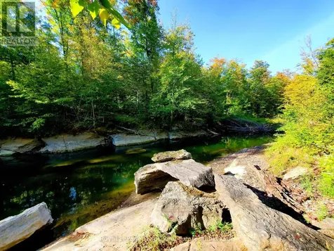 1804 Clydesdale Road North Kawartha ON K0L 1A0