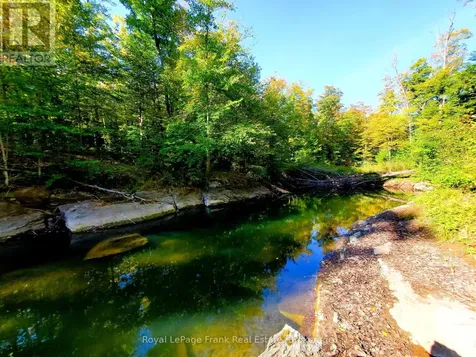 1804 Clydesdale Road North Kawartha ON K0L 1A0