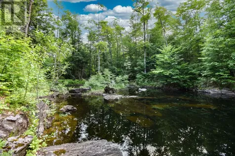 1804 Clydesdale Road North Kawartha ON K0L 1A0