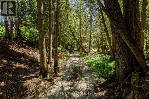174386 Lower Valley Road Grey Highlands ON N0C 1H0