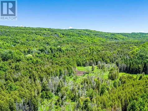 174386 Lower Valley Road Grey Highlands ON N0C 1H0