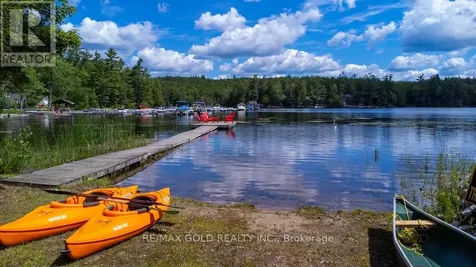 6 Fire Route 278 Trent Lakes ON K0L 1J0