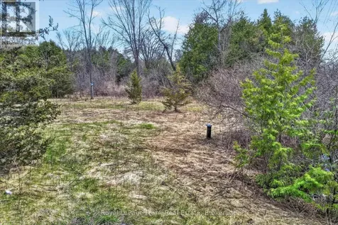 Lot 4 Lakefield Road Selwyn ON K9J 6X5