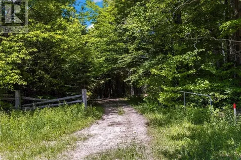 325719 Durham Road B Grey Highlands ON N0C 1K0