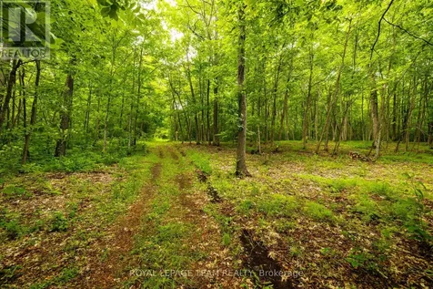 1142 County Road 43 Road Merrickville-wolford ON K0G 1N0