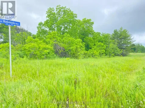 Lot 1 Madawaska Boulevard Arnprior ON K7S 3H6