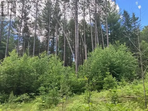6732 County Road 620 Wollaston ON K0L 1P0