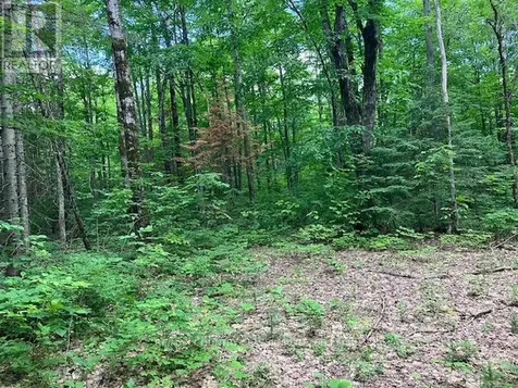 6732 County Road 620 Wollaston ON K0L 1P0