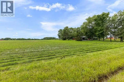 3739 Concession Road 3 Harrow ON N0R 1G0