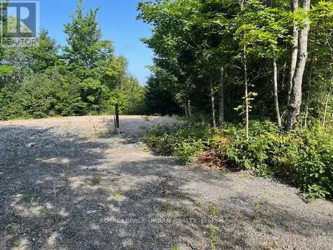 836 Rye Road South River ON P0A 1Z0