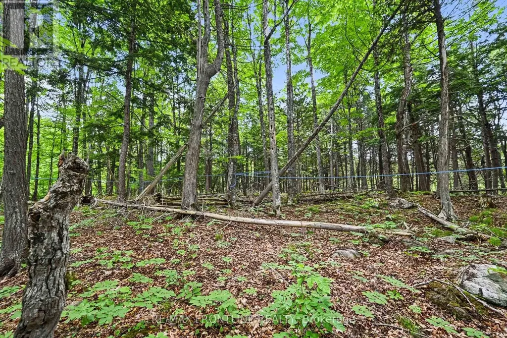 634 Concession 5a Dalhousie Lanark Highlands ON K0G 1K0