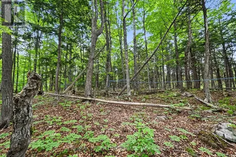 634 Concession 5a Dalhousie Lanark Highlands ON K0G 1K0