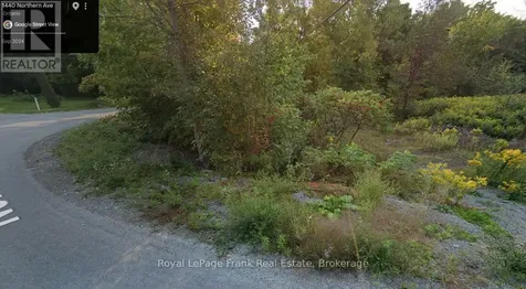 0 Northern Avenue Trent Lakes ON K0L 1J0