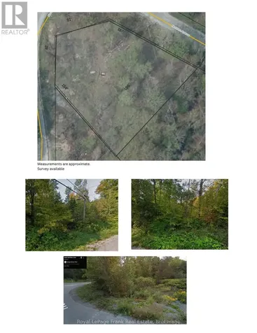 0 Northern Avenue Trent Lakes ON K0L 1J0