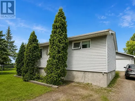 55 Dickenson Road Balmertown ON P0V 1C0