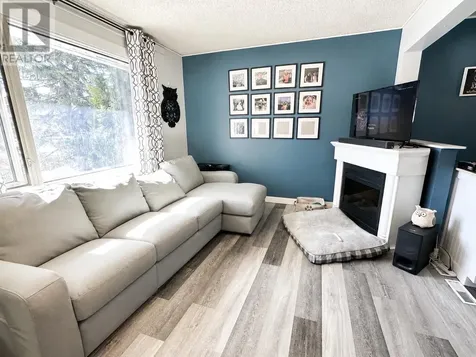 55 Dickenson Road Balmertown ON P0V 1C0