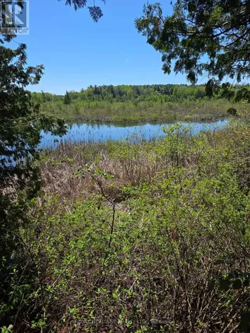 120 Charlie's Island Hamilton Township ON K0L 1E0