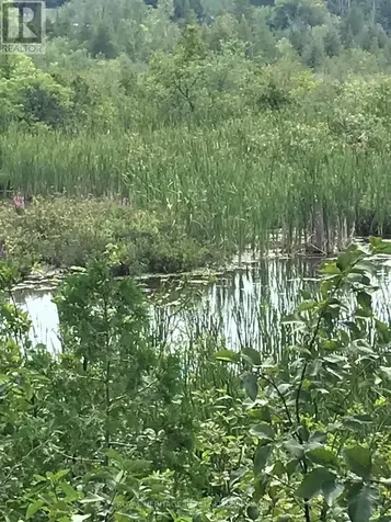 120 Charlie's Island Hamilton Township ON K0L 1E0