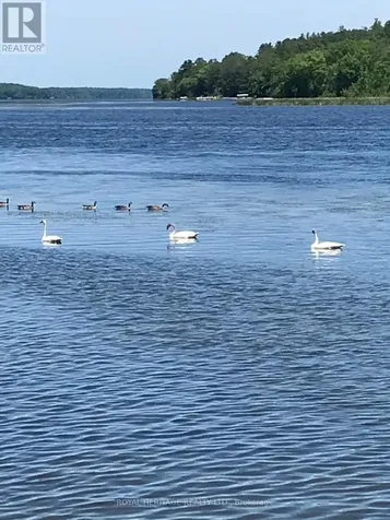 120 Charlie's Island Hamilton Township ON K0L 1E0
