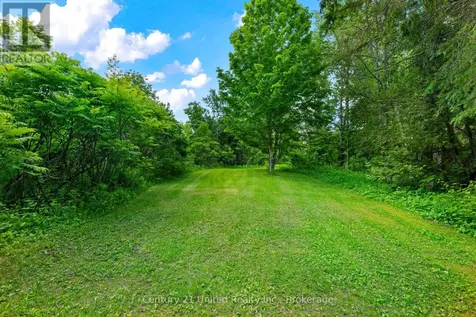 1790 County Road 40 Douro-dummer ON K0L 2V0