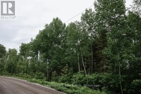 447 Fox Run Temagami ON P0H 2H0