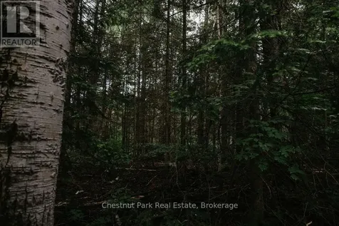447 Fox Run Temagami ON P0H 2H0