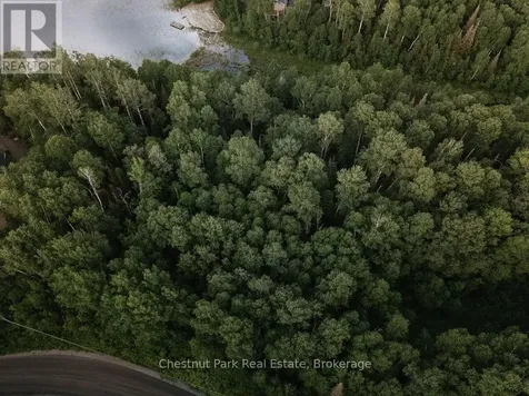 447 Fox Run Temagami ON P0H 2H0