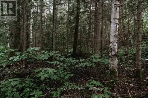 447 Fox Run Temagami ON P0H 2H0