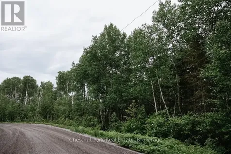 447 Fox Run Temagami ON P0H 2H0