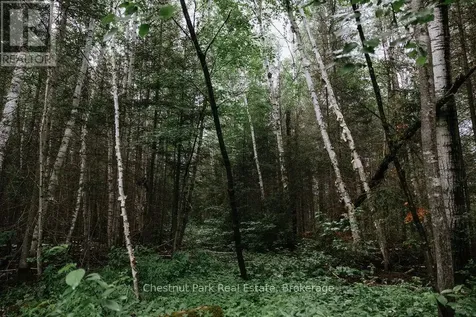 447 Fox Run Temagami ON P0H 2H0