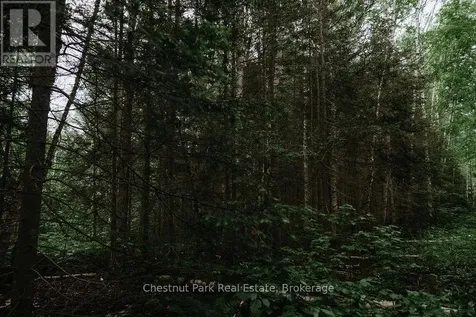 447 Fox Run Temagami ON P0H 2H0