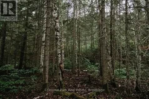 447 Fox Run Temagami ON P0H 2H0