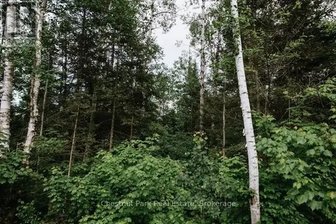 447 Fox Run Temagami ON P0H 2H0