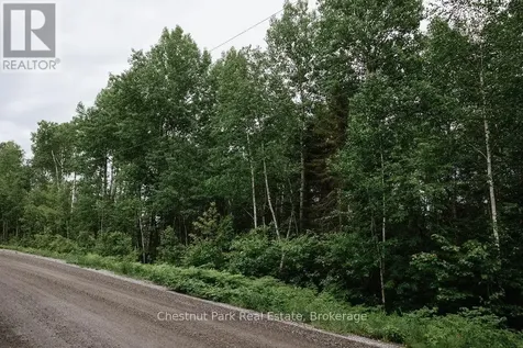 447 Fox Run Temagami ON P0H 2H0
